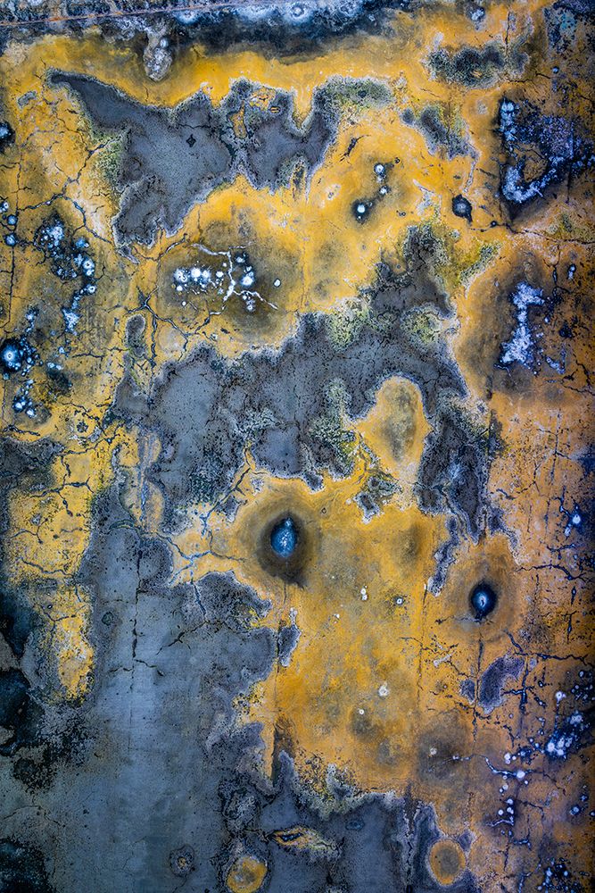 USA, Washington State, Port Townsend, Fort Worden State Park. Decay patterns on wall.